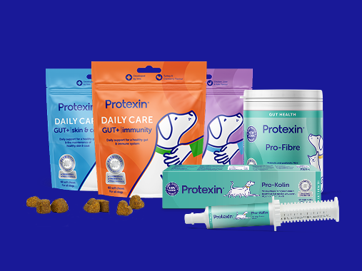Blue banner with all products live on site