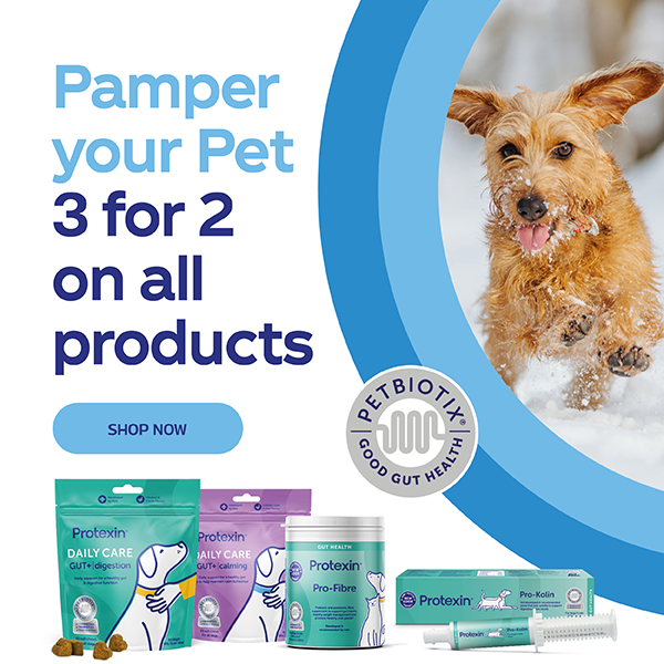 Pamper your pet 3 for 2 on all products