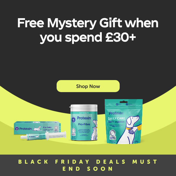 Free Mystery Gift when you spend £30+