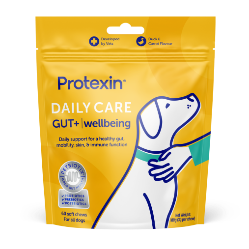 Daily Care Gut+ Wellbeing Chews for Dogs