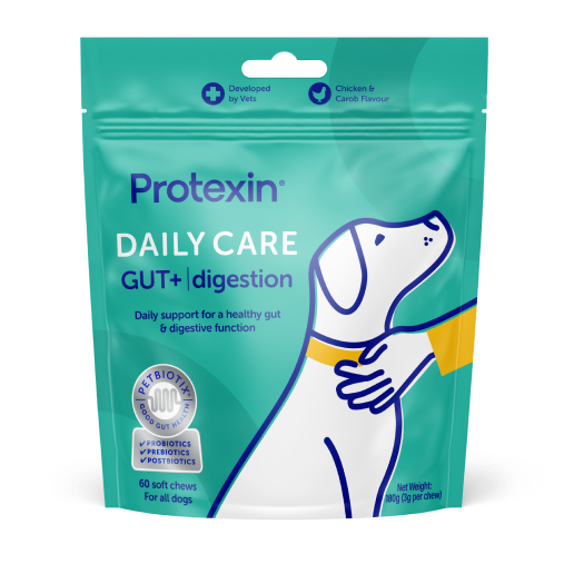 Daily Care Gut+ Digestion Chews for Dogs