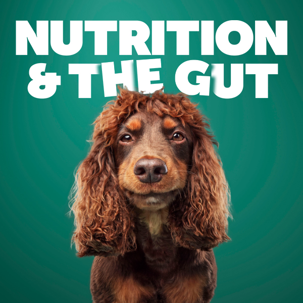 Nutrition & The Gut
