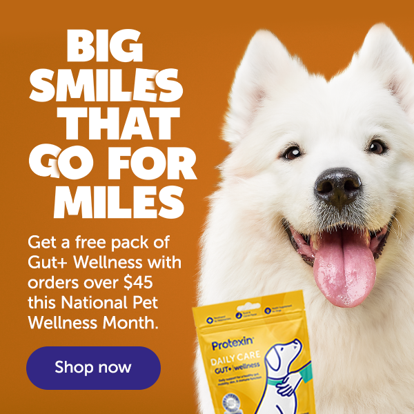 Big smiles that go for miles. Get a free pack of Gut+ Wellness with orders over $45 this National Pet Wellness Month.