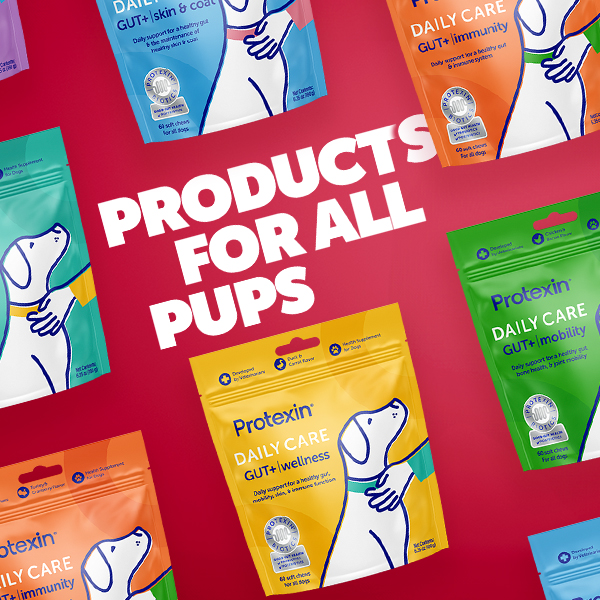 Products for all pups - From digestion to movement to wellness, our pet biotic supplements proactively support your dog so they can live life to the fullest.