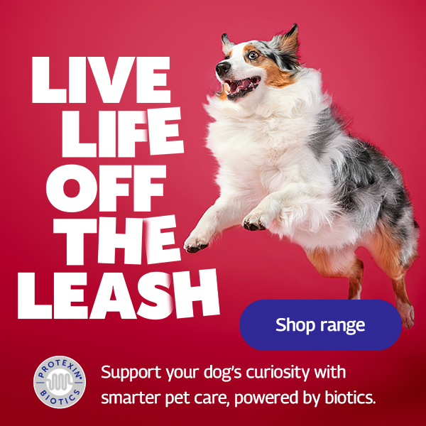 LIVE LIFE OFF THE LEASH. Support your dog’s curiosity with smarter pet care, powered by biotics. Shop range