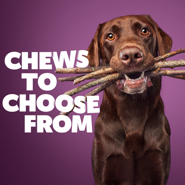 Chews to choose from