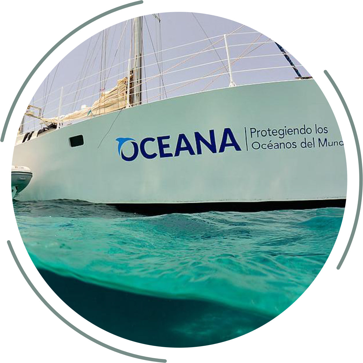 Oceana boat at sea