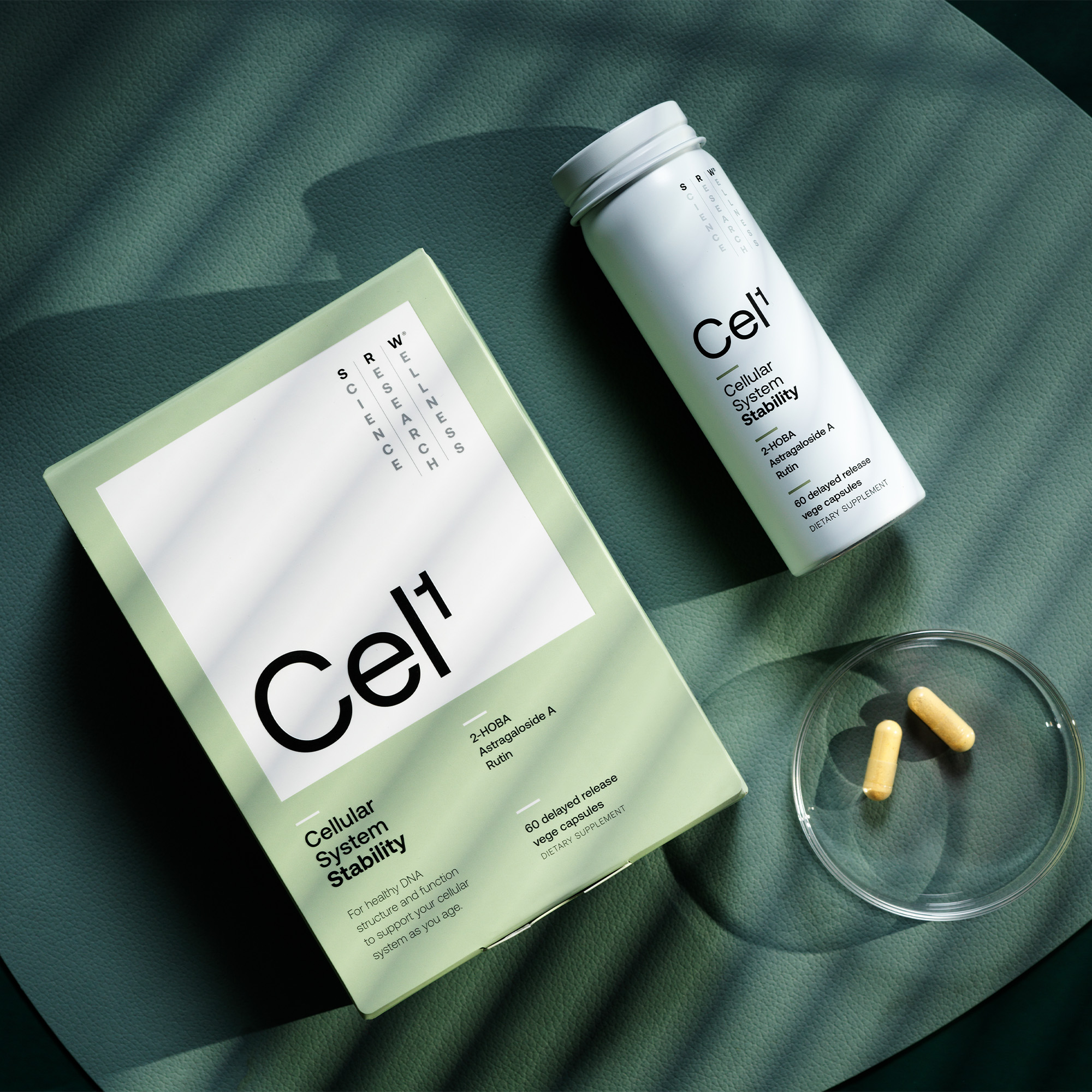 Cel¹ - Cellular Stability