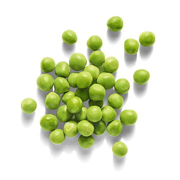 ERBSEN