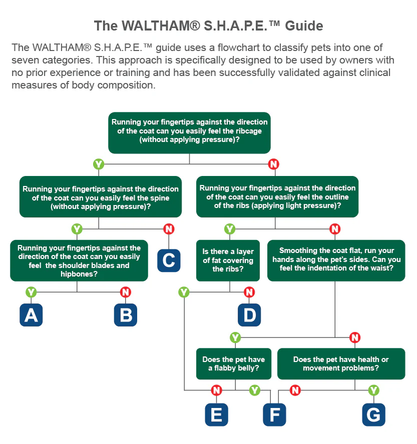 the Waltham S.H.A.P.E. Guide  uses a flowchart to classify pets into one of seven categories. This approach is specifically designed to be used by owners with no prior experience or training and has been successfully validated against clinical measures of body composition.