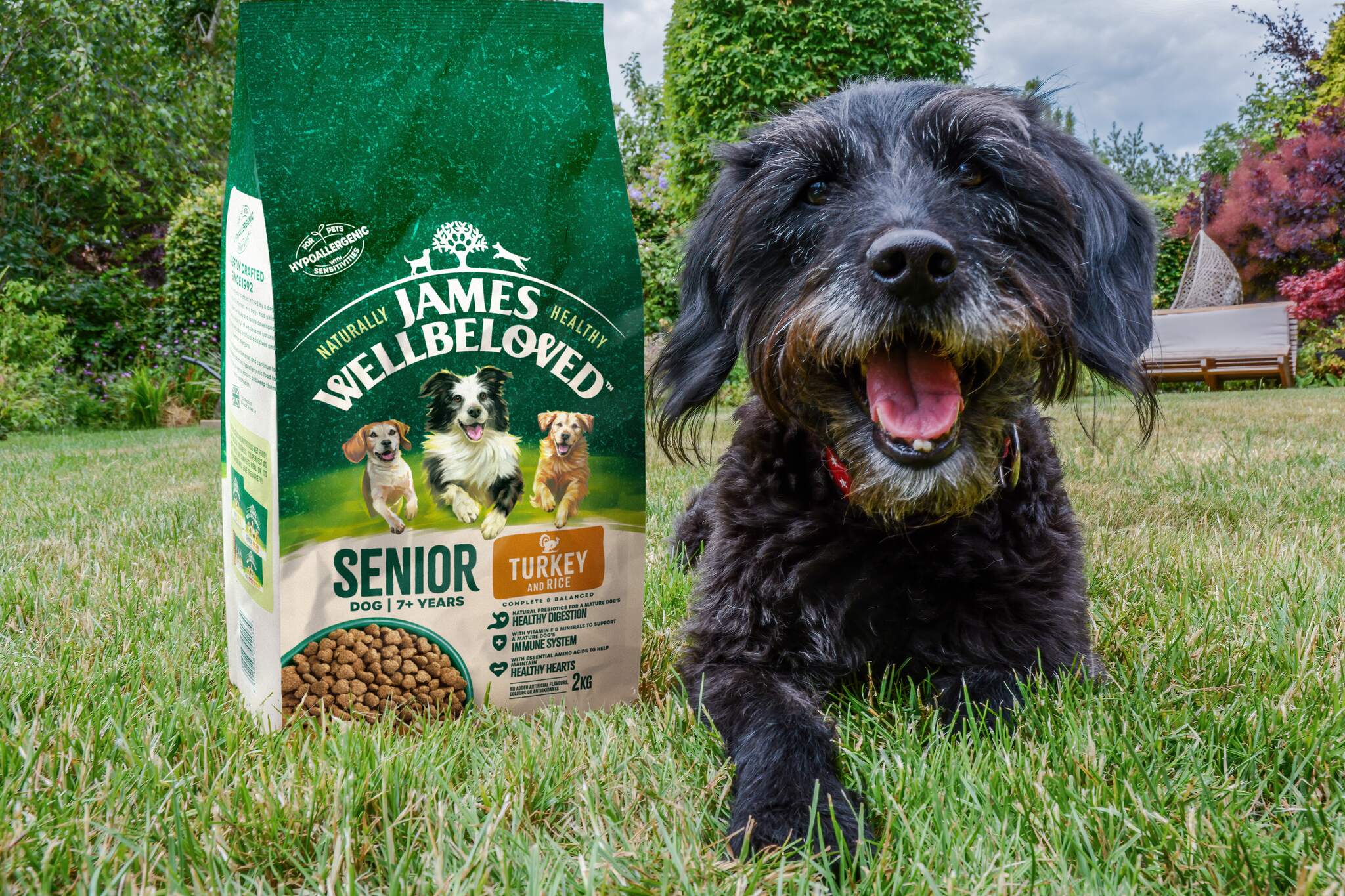 a dog with senior turkey puppy pack