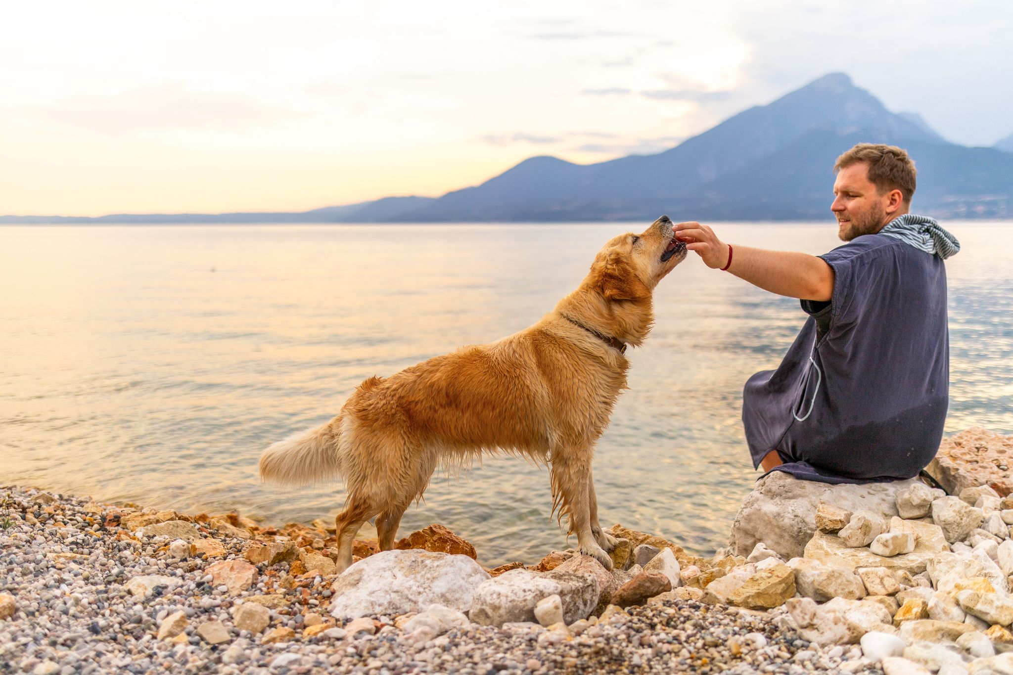 a dog sitting next to sea