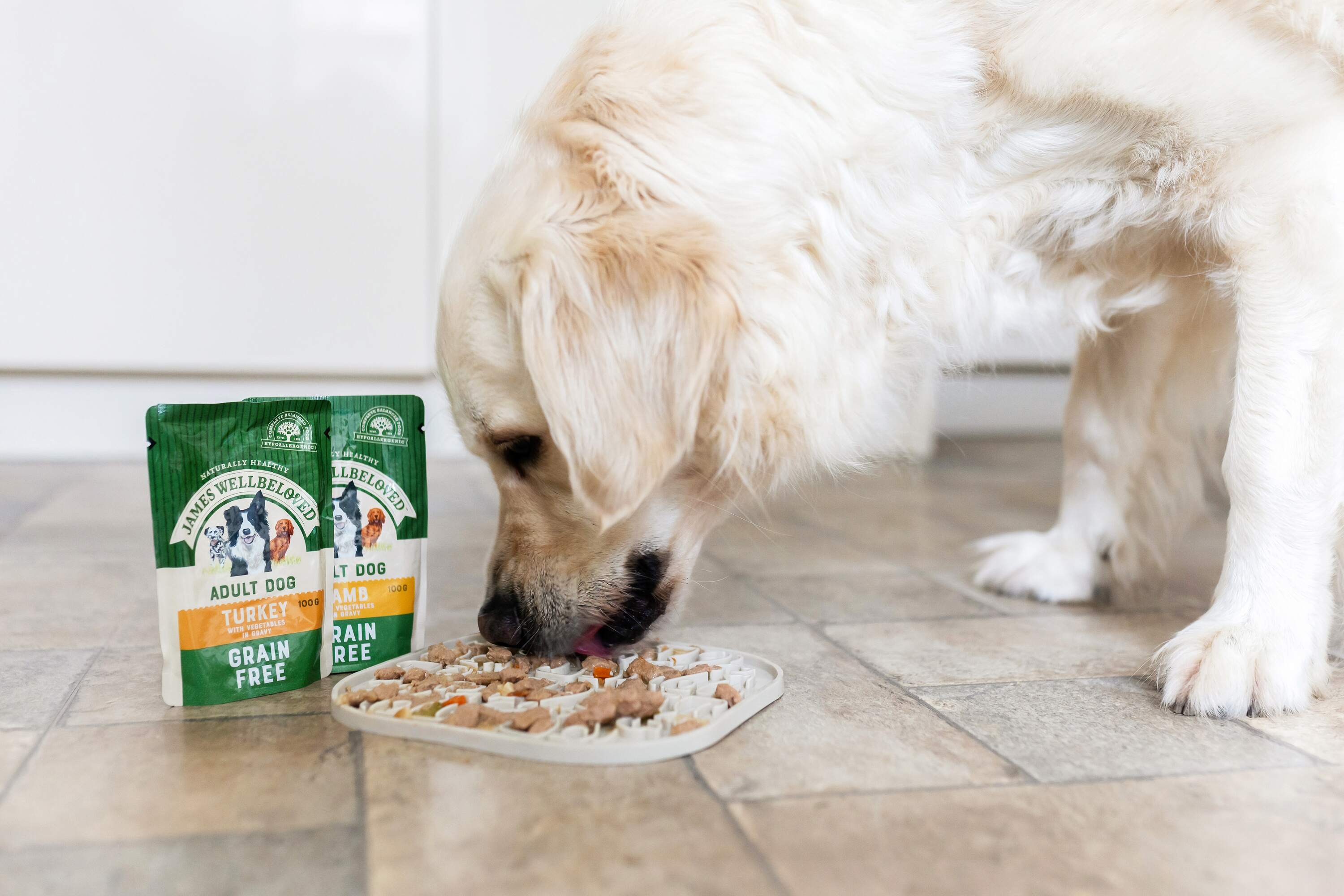 a dog eating the grain free turkey adult dog food