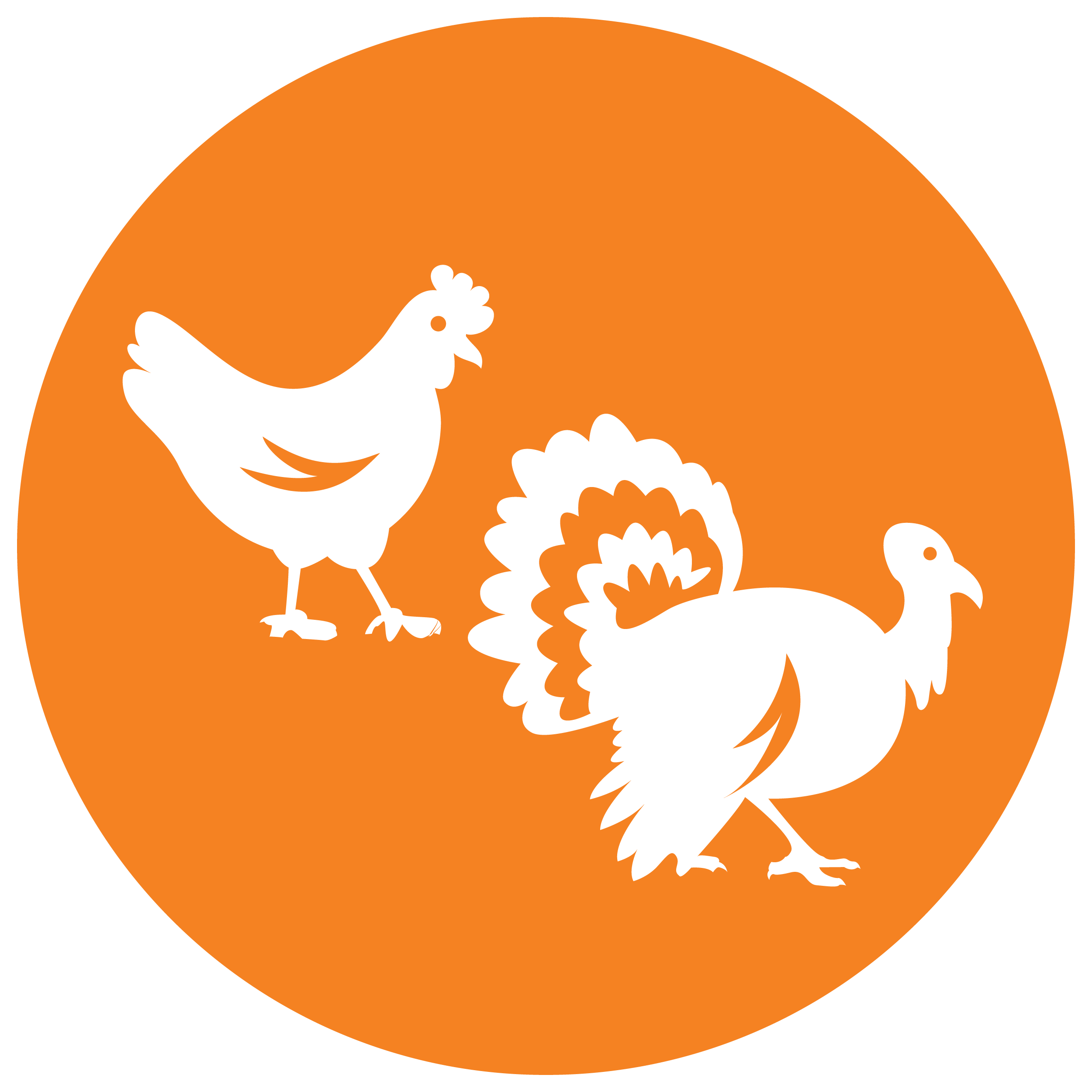 SINGLE SOURCE ANIMAL PROTEIN