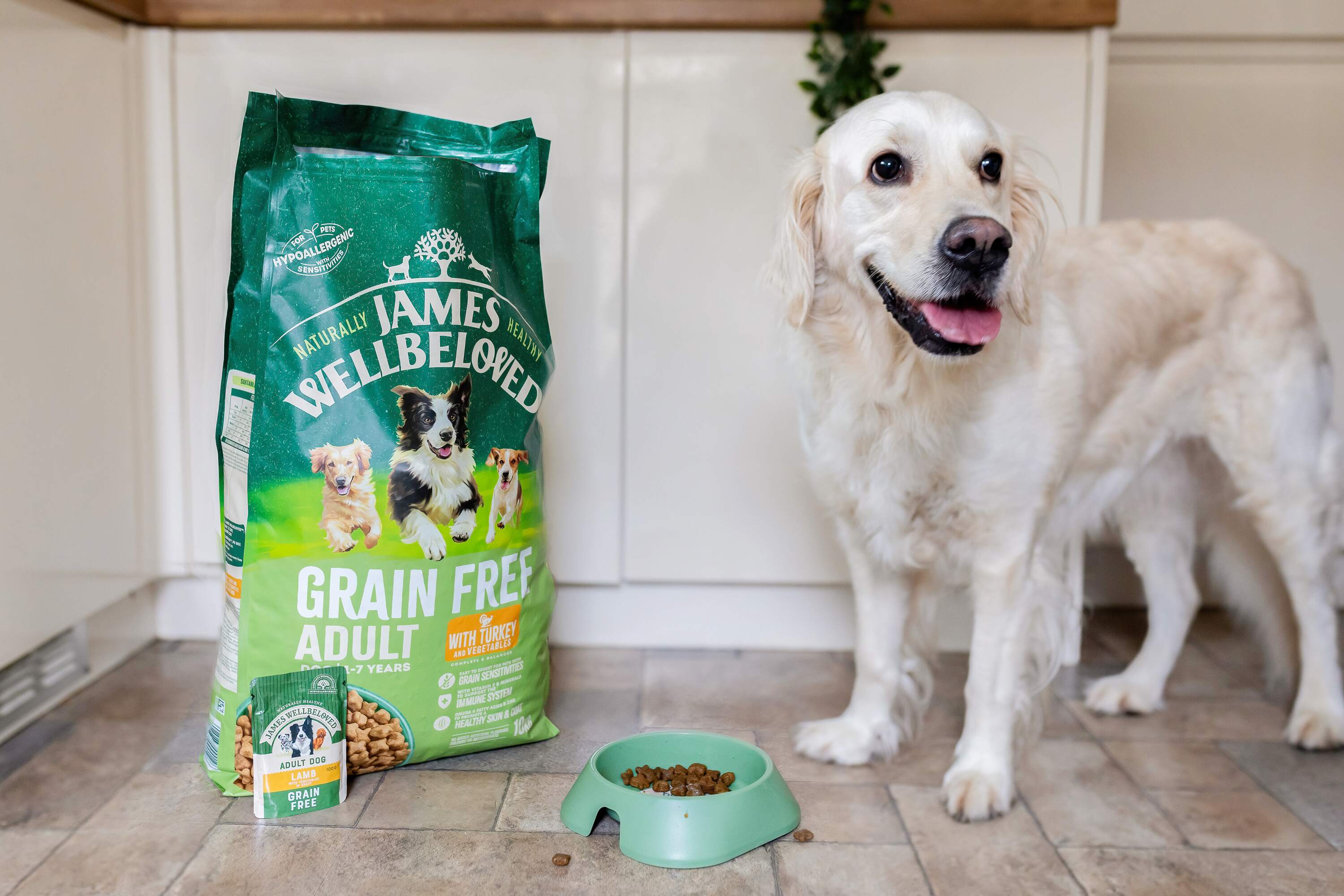 a dog with grain free adult puppy food