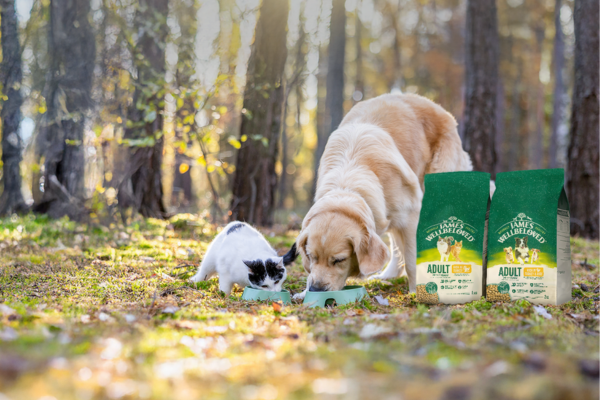 High quality pet food made with wholesome, delicious & natural ingredients, delivered to you door.