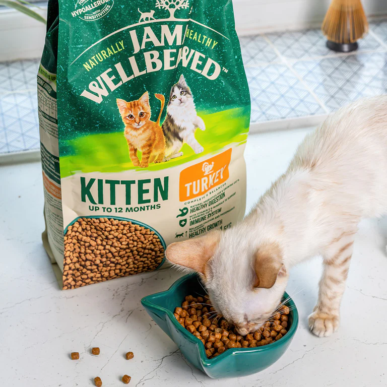 Kitten turkey food