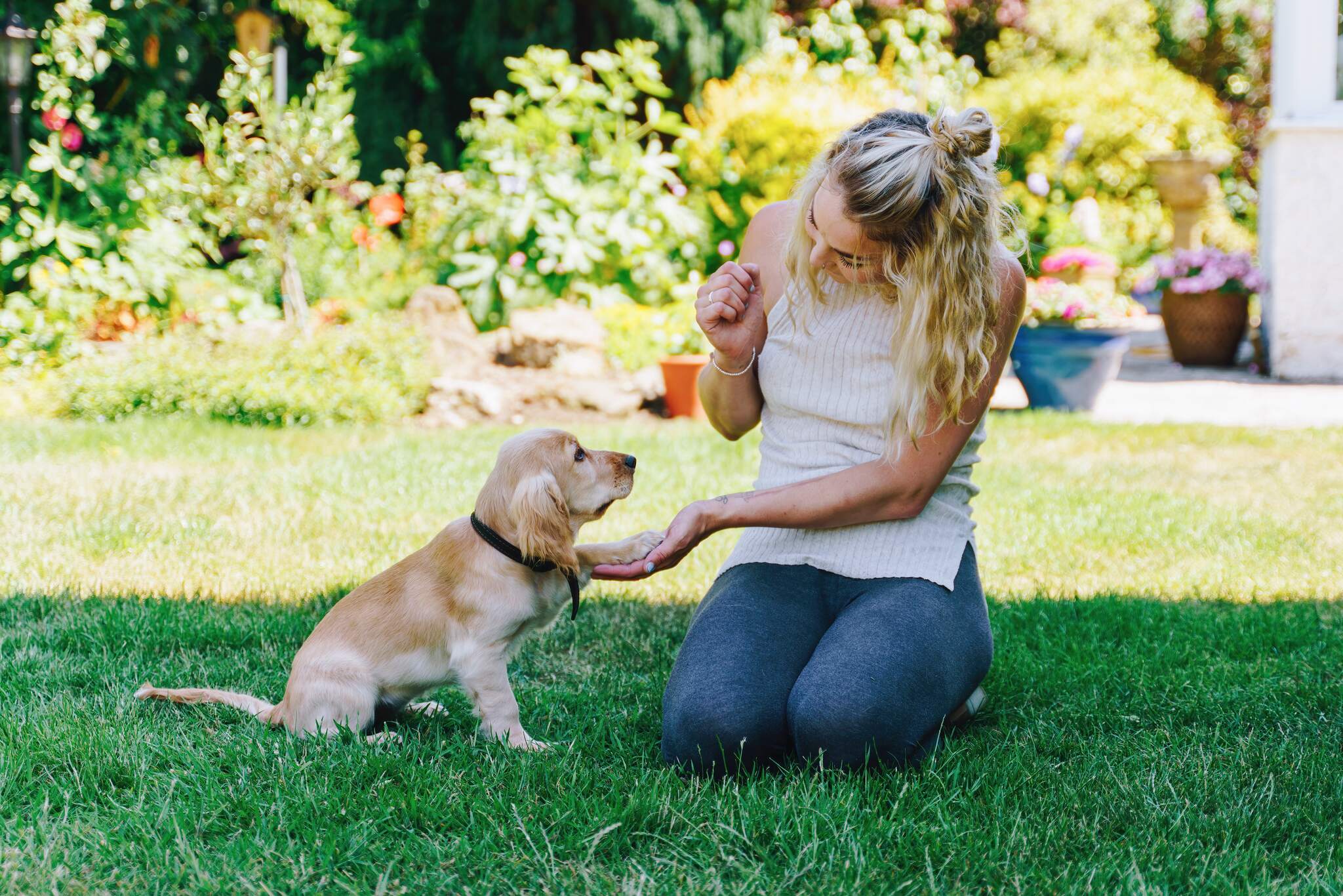 a dog holding a women's hand