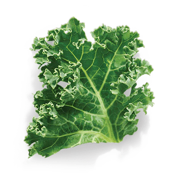 KALE