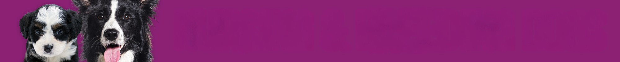 NURSING & BREEDING DOGS