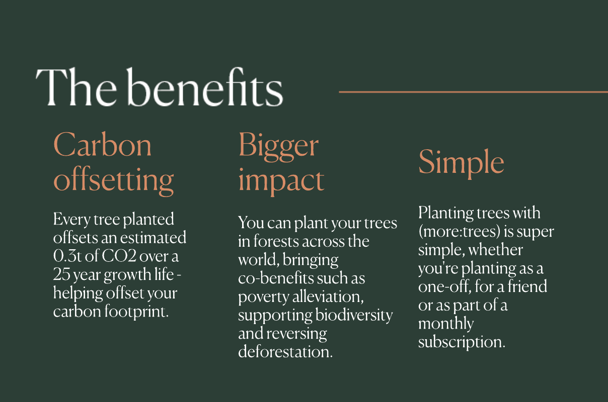 More Trees THG Eco (benefits)