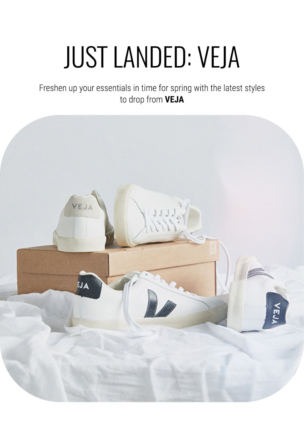veja banner image