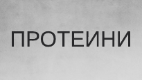 Протеин