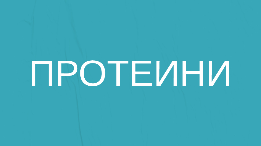 Протеин