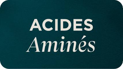 Acide aminé