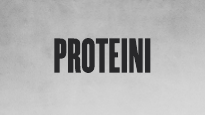 Proteini