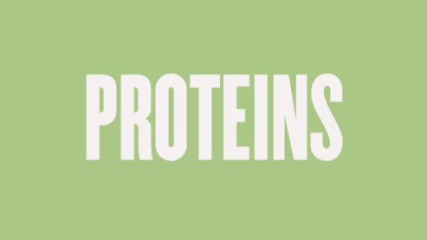 Vegan Protein