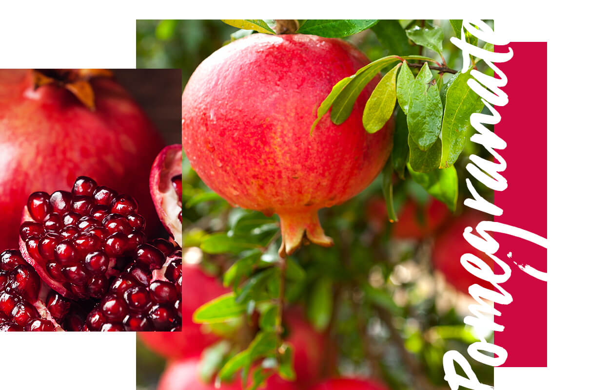 Pomegranate