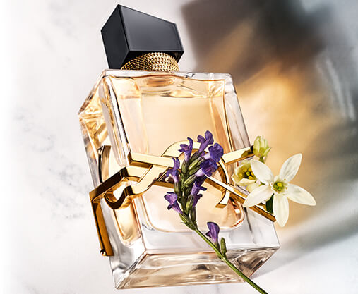 YSL LIBRE Perfume Collection