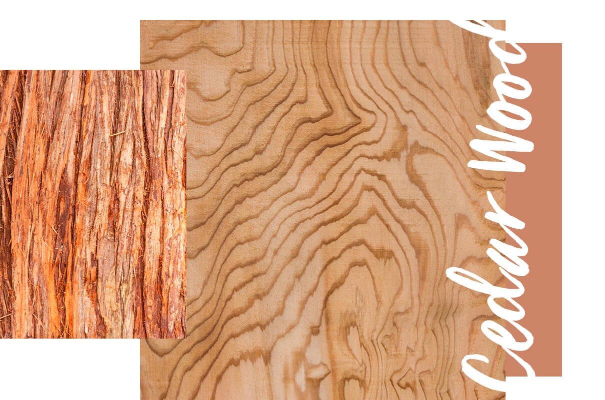 Cedar wood