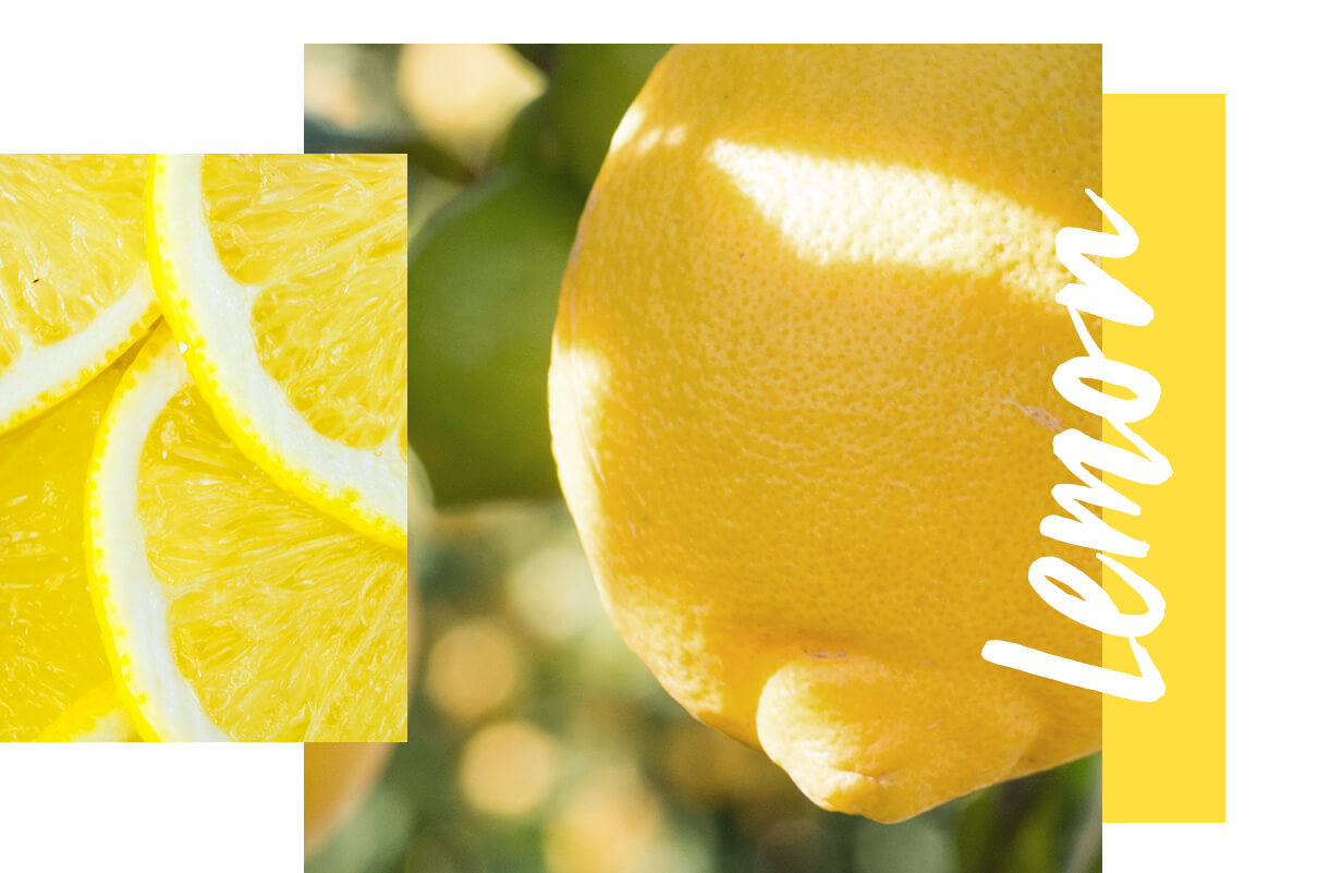 Lemon