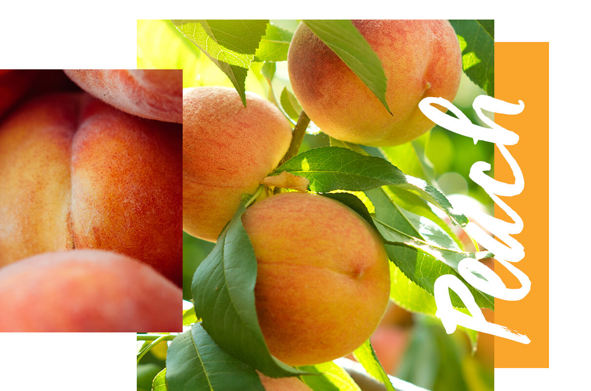 Peach